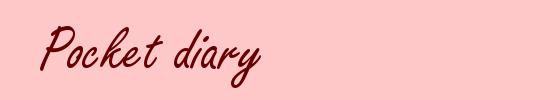 Pocket diary
